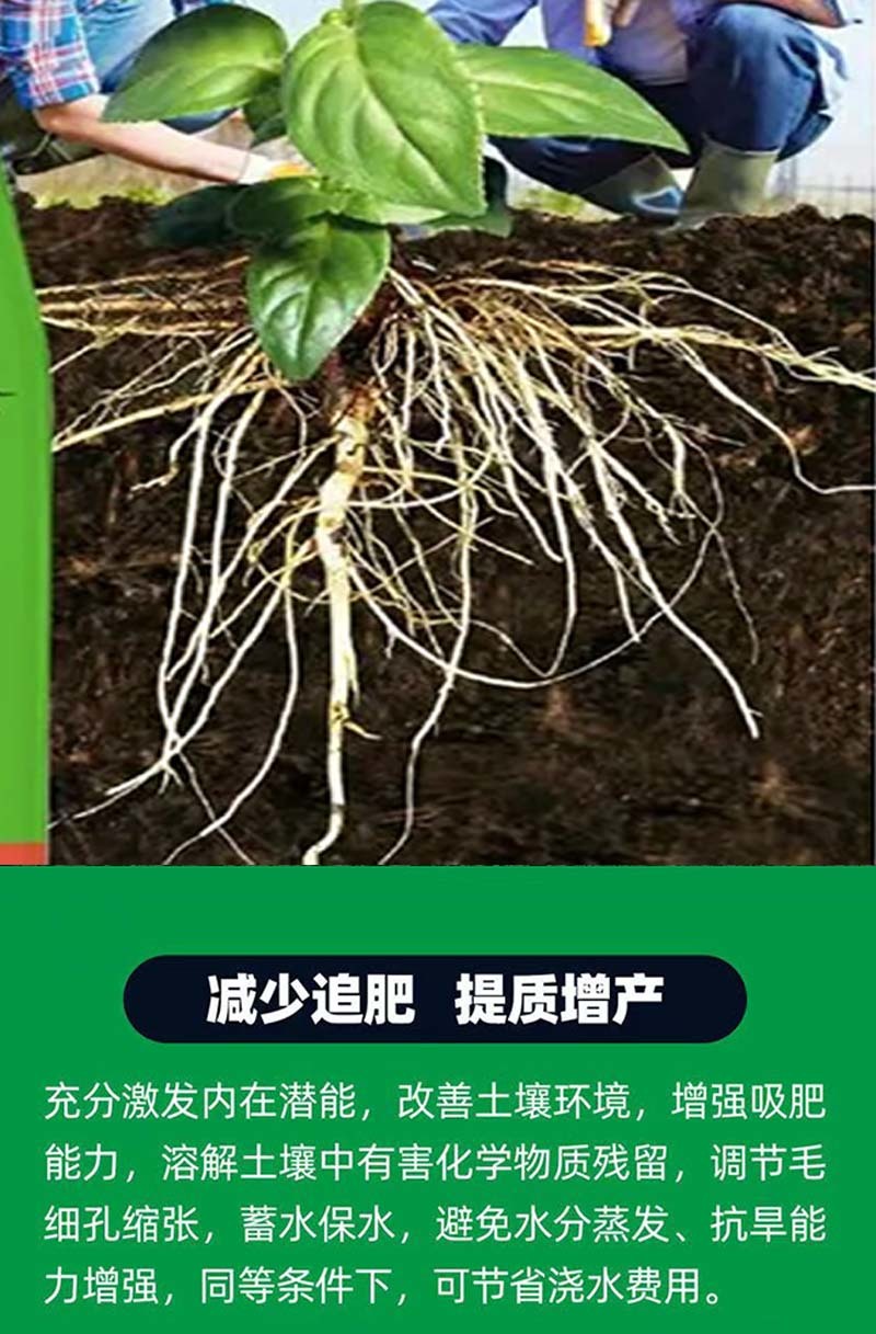 大力雄追肥精山药材党参半夏百部天冬白芨柴胡壮根增产叶面肥