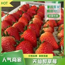 天仙醉草莓种植基地诚信经营品质保证可视频
