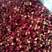 茂汶大红袍花椒，农户种植，价格实惠，供货稳定，诚信经营