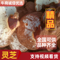 精品灵芝品种齐全，自有基地，质量保证，全国均可发货