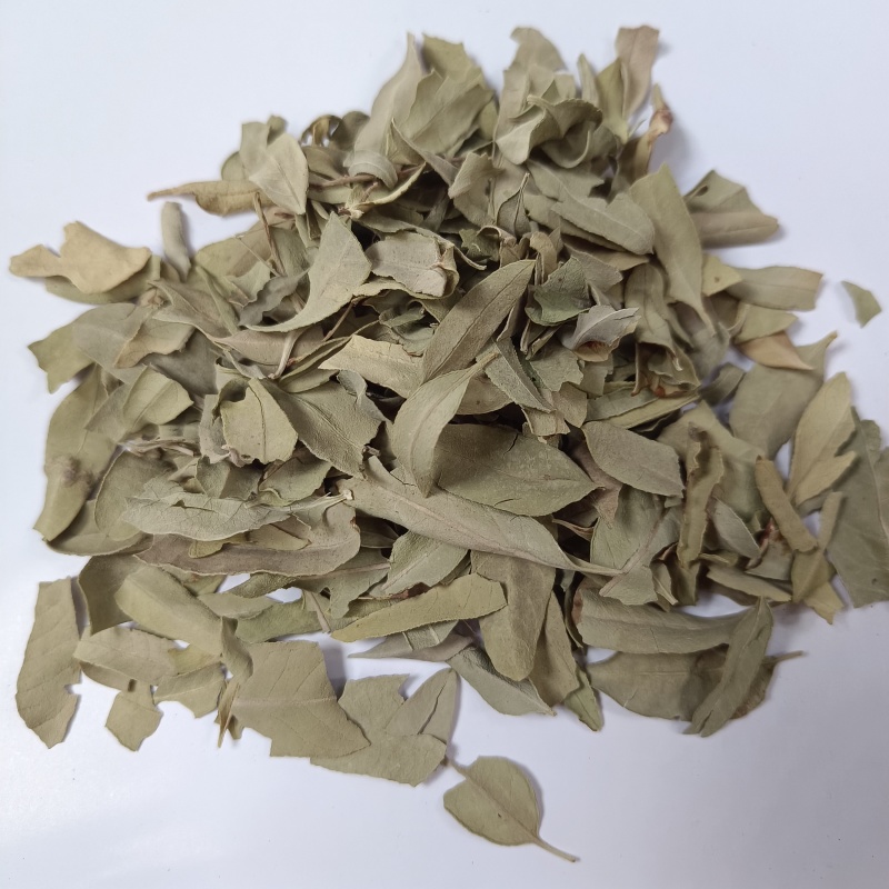 中药材批发供应罗布麻新货罗布麻叶质优价廉品种齐全