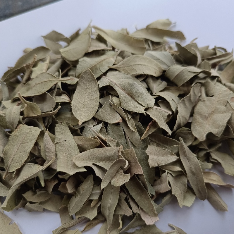 中药材批发供应罗布麻新货罗布麻叶质优价廉品种齐全