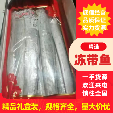 精品礼盒装冻舟山带鱼佳节送礼一手货源全国直达一吨起批