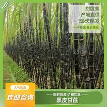 广西桂林黑皮甘蔗产地直发量大从优可视频实地