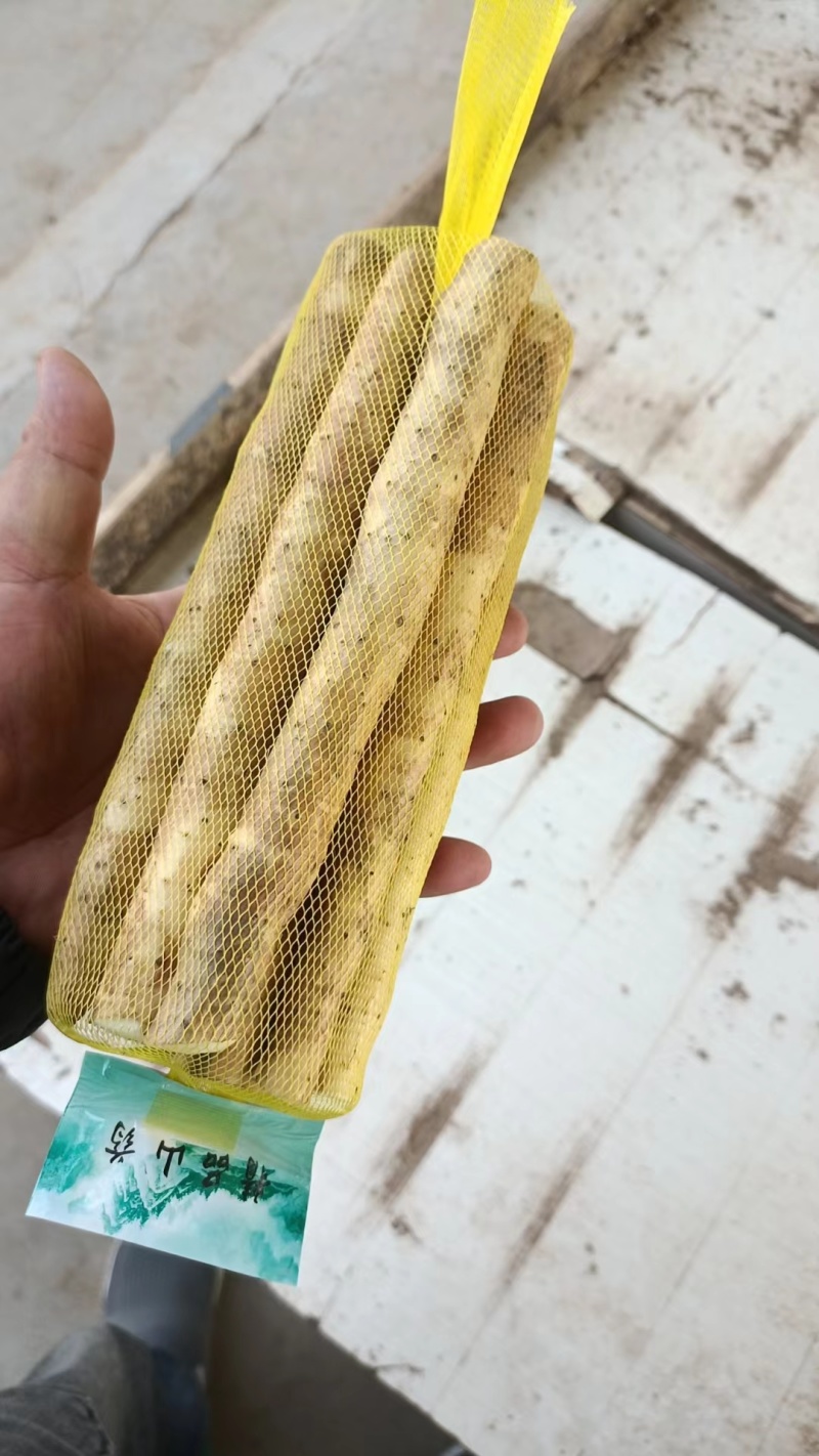 【优选】铁棍山药品质保证对接全国规格齐全欢迎联系