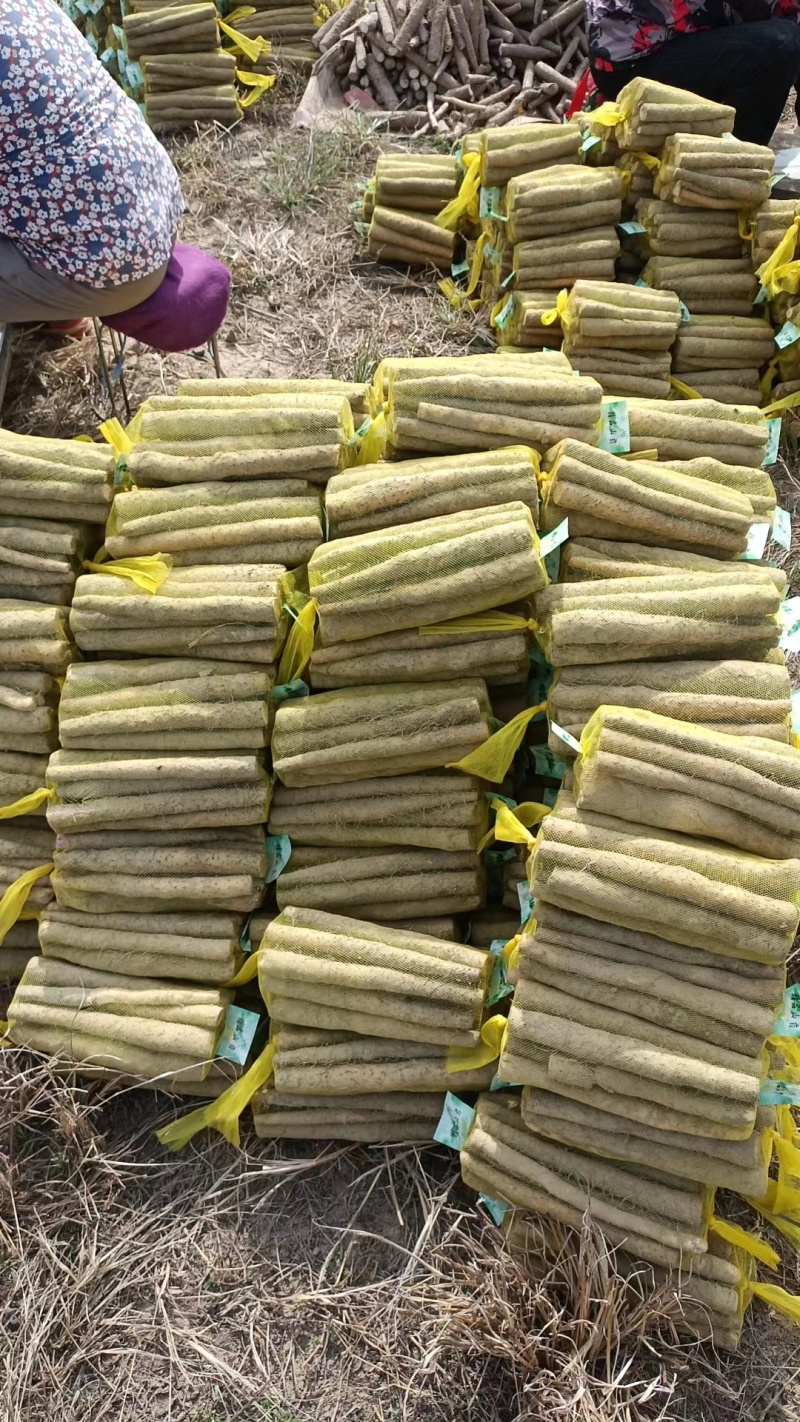 【优选】铁棍山药品质保证对接全国规格齐全欢迎联系