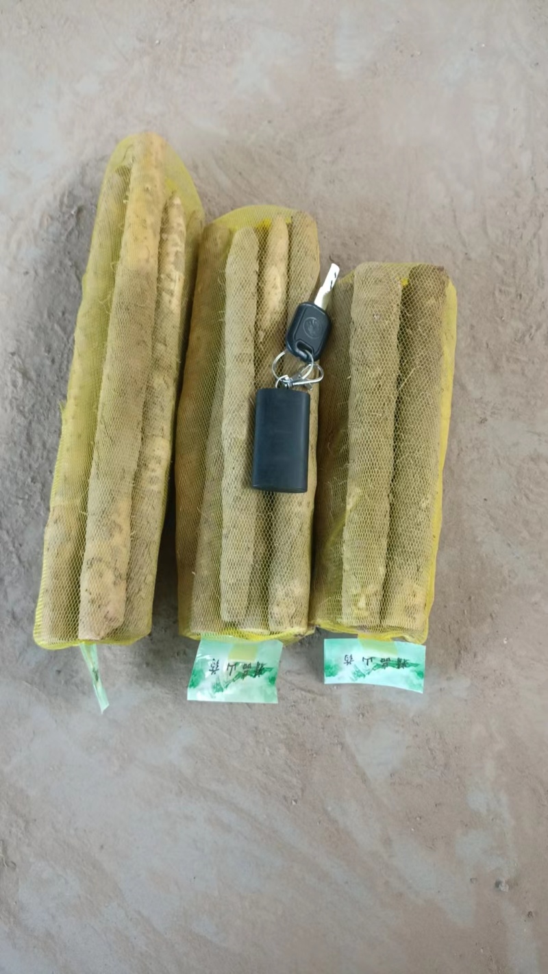 【优选】铁棍山药品质保证对接全国规格齐全欢迎联系