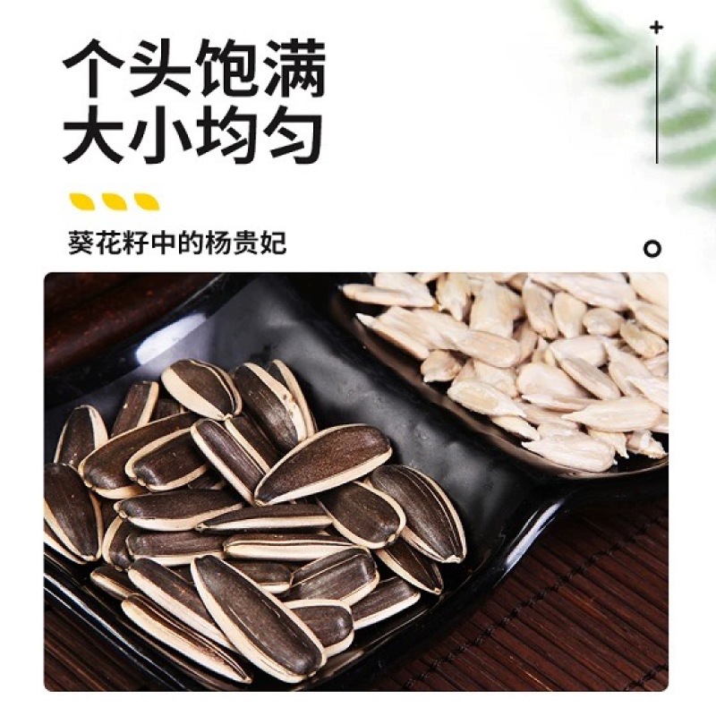 【推荐】山西忻州葵花籽向日葵千亩种植基地一手货源价格稳定