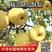 【砀山酥梨】安徽精品梨产区现货保质保量皮薄汁多甘甜