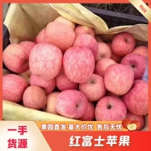 红富士，陕西水晶红富士，冰糖心，瑞雪苹果，瑞香红苹果产地