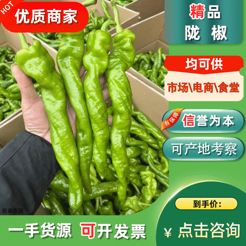 【推荐】陇椒龙椒中陇椒