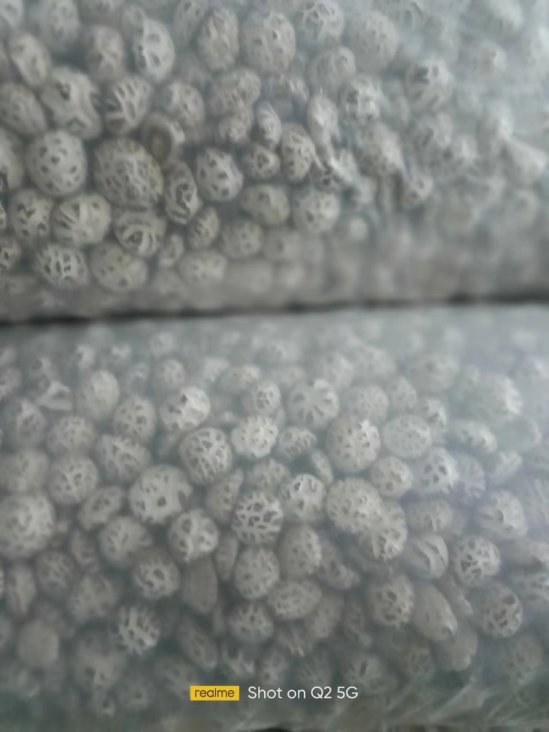 精选干花菇大量上市产地直发保质保量供应全国市