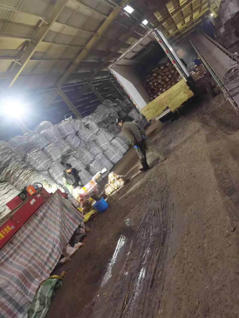 内蒙古土豆黄金薯，V7土豆，品种多样量大价优，对接整车