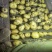 内蒙古黄心土豆，黄心土豆，黄金薯，实验1号品种齐全