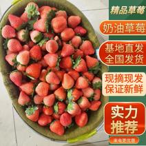 《奶油草莓》徐州草莓支持视频看货代发全国市场招代理商