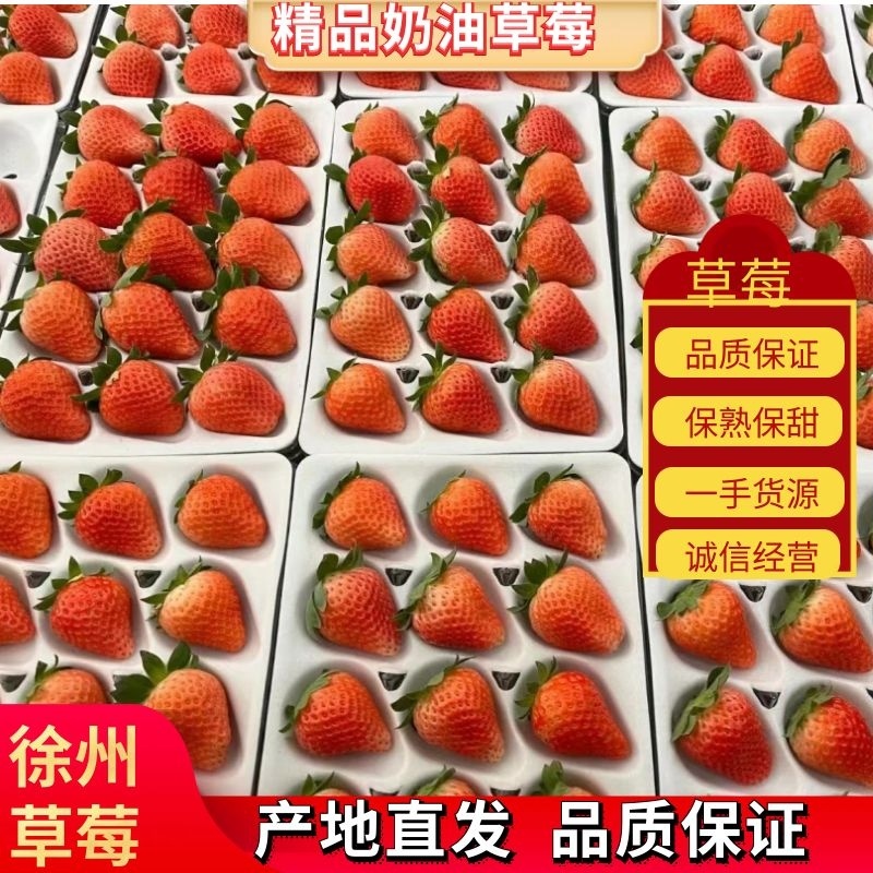 《妙香草莓》产地直达实力代办可发全国