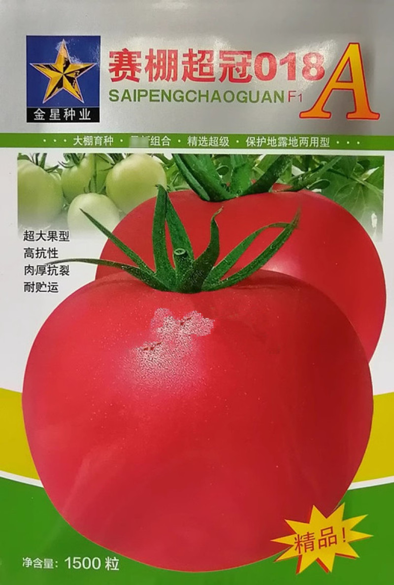 赛棚超冠番茄种子，大果番茄种子，肉厚抗裂，保护地露地两用