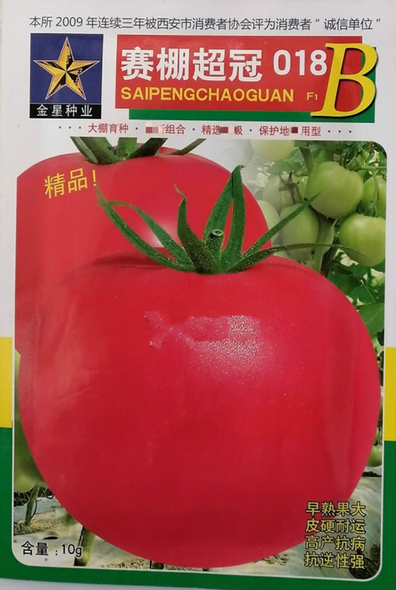 赛棚超冠番茄种子，大果番茄种子，肉厚抗裂，保护地露地两用