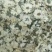 生烤北京菊朵花大量有货诚信经营品质保证欢迎老板电话联系