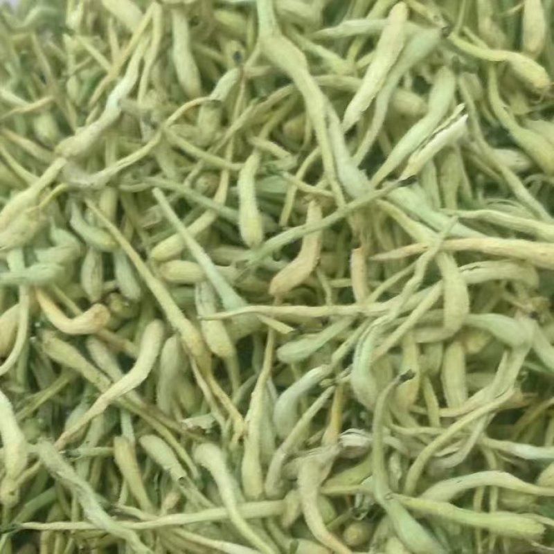 正宗金银花头茬精品晒货开花货药厂货现货30吨