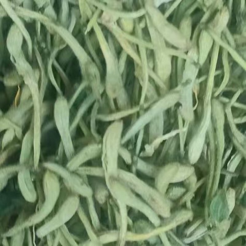 正宗金银花头茬精品晒货开花货药厂货现货30吨