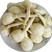 宝应纯白大慈菇，大量上市，欢迎全国客商前来产地批发订购！