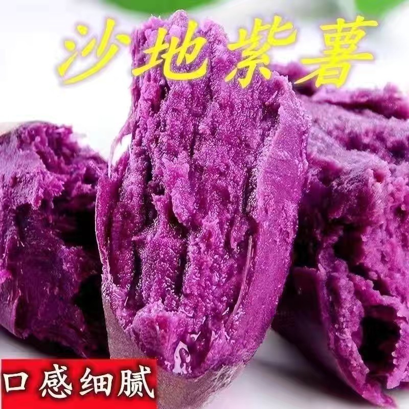 【新货上市】紫罗兰电商巿场团购一件代发产地直发