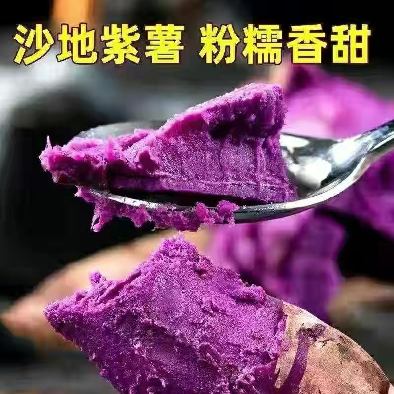 【新货上市】紫罗兰电商巿场团购一件代发产地直发
