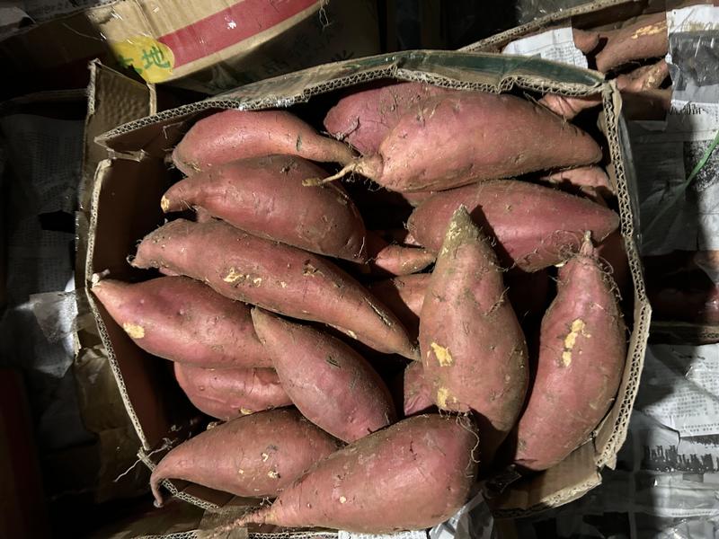 烟薯25蜜薯烤红薯电商巿场社区团购一手货源量大