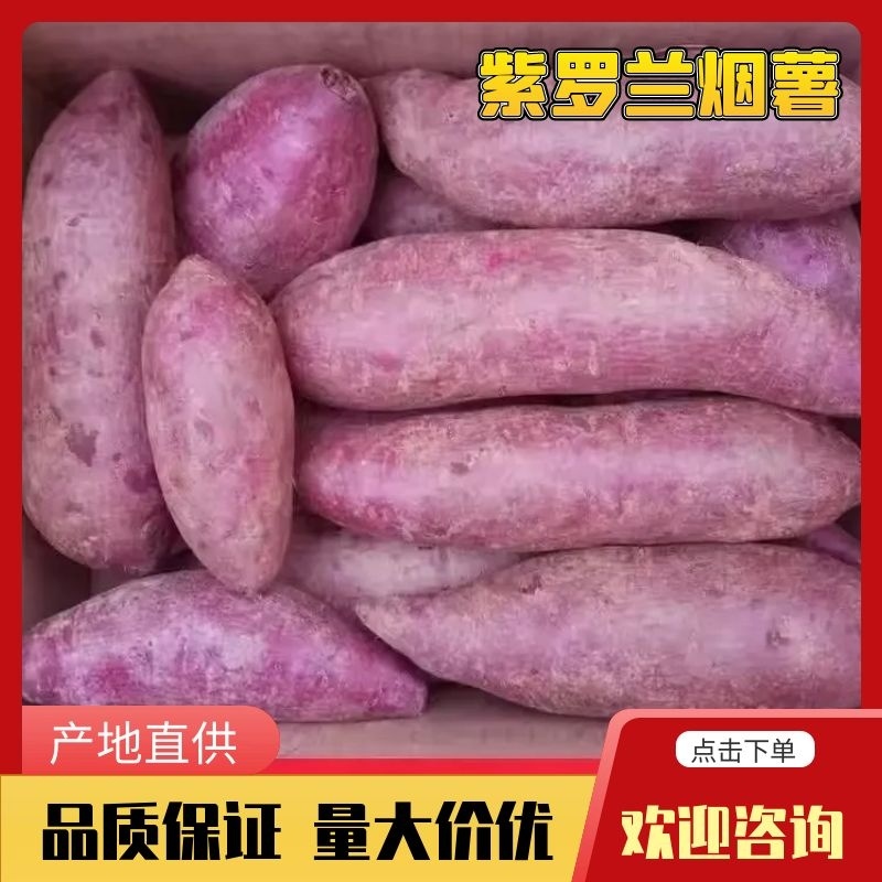 【新货上市】紫罗兰电商巿场团购一件代发产地直发