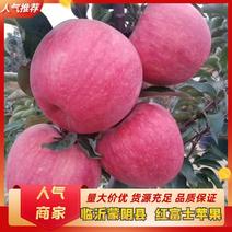 正宗精品红富士苹果(条红苹果，片红苹果)全国发货量大从优