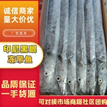 印尼黑眼冻带鱼，大量批发全国各地均可直达现货