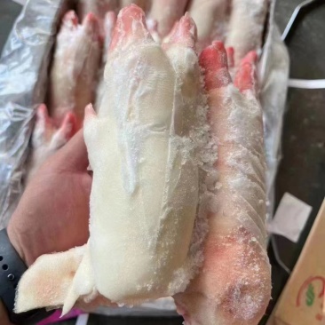 猪手优质猪蹄大量有货品质保障全国发货欢迎咨询