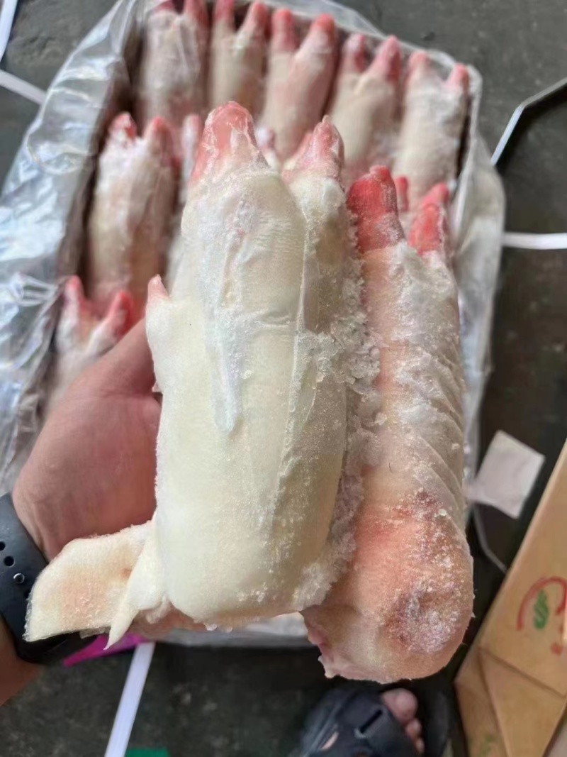 猪手优质猪蹄大量有货品质保障全国发货欢迎咨询
