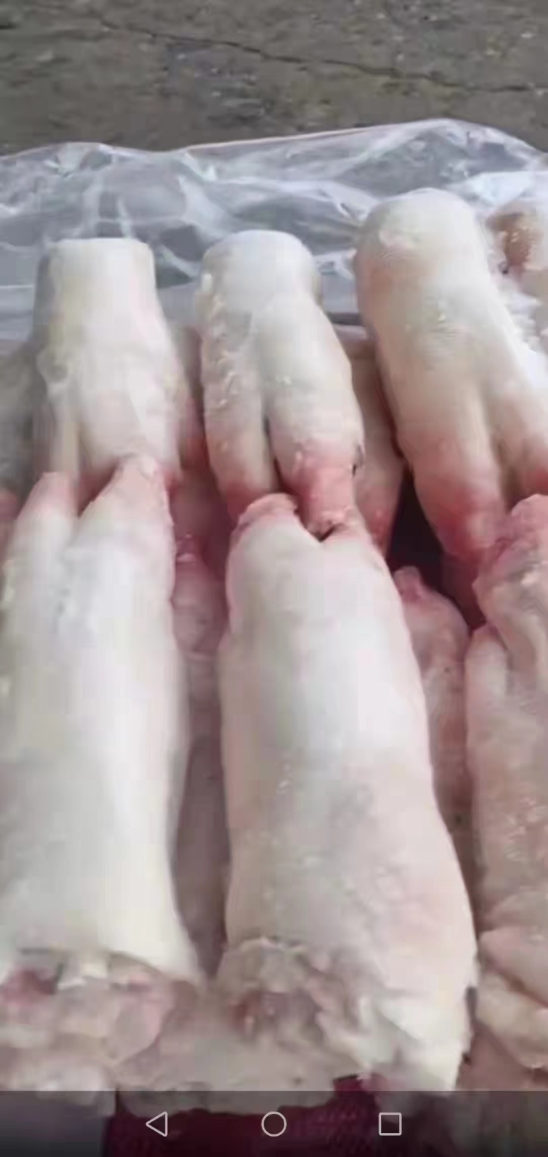 猪手优质猪蹄大量有货品质保障全国发货欢迎咨询