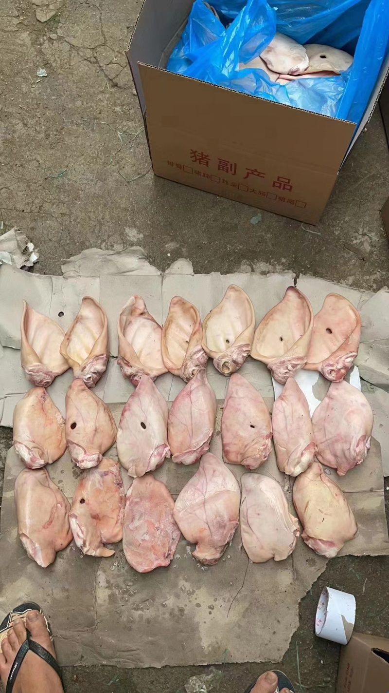 耳朵【推荐】常年批发猪耳支持视频看货量大从优
