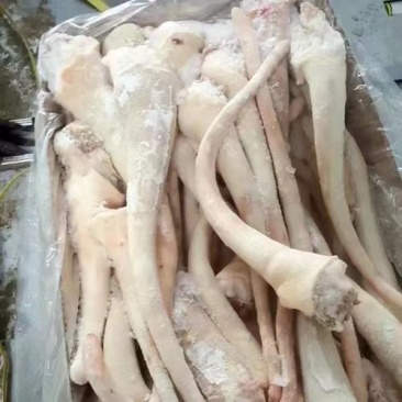 猪尾精品猪尾大量批发品质保障量大从优欢迎来电