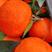 正宗东方红蜜橘，全红上市，口味甘甜，大量有货，欢迎来电
