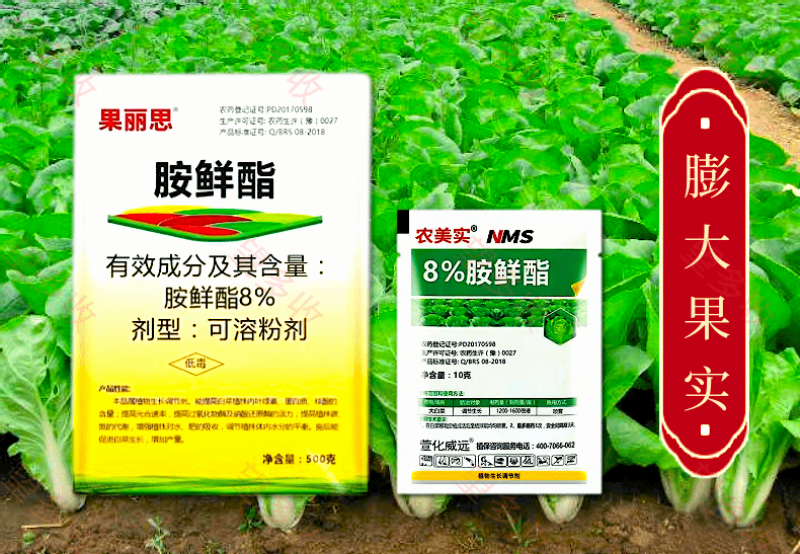8%胺鲜酯促花果助绿叶促脱青着色防寒抗逆农药硝钠胺鲜酯