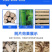 木质削片机大型毛竹木材打片机圆木松木桉木切片机