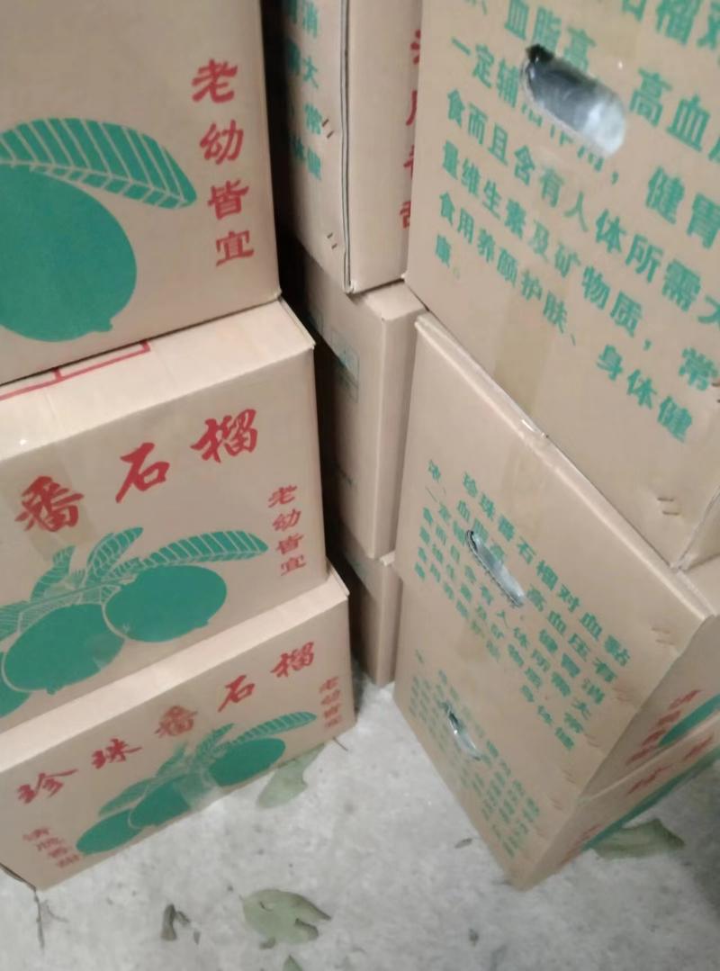 【番石榴】广东廉江市番石榴，量大从优，现货现发，欢迎来电
