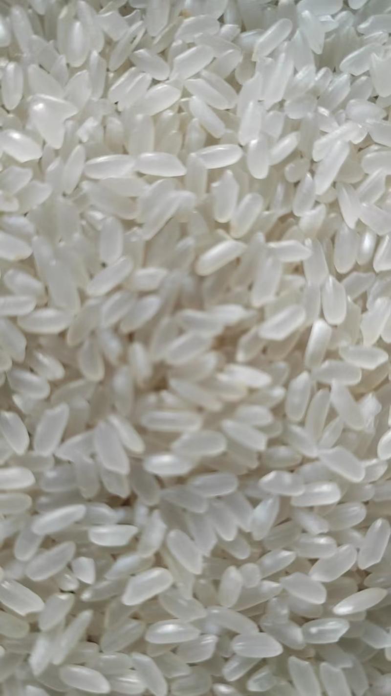濮阳精品长粒香大米，产地直发，保质保量，欢迎选购
