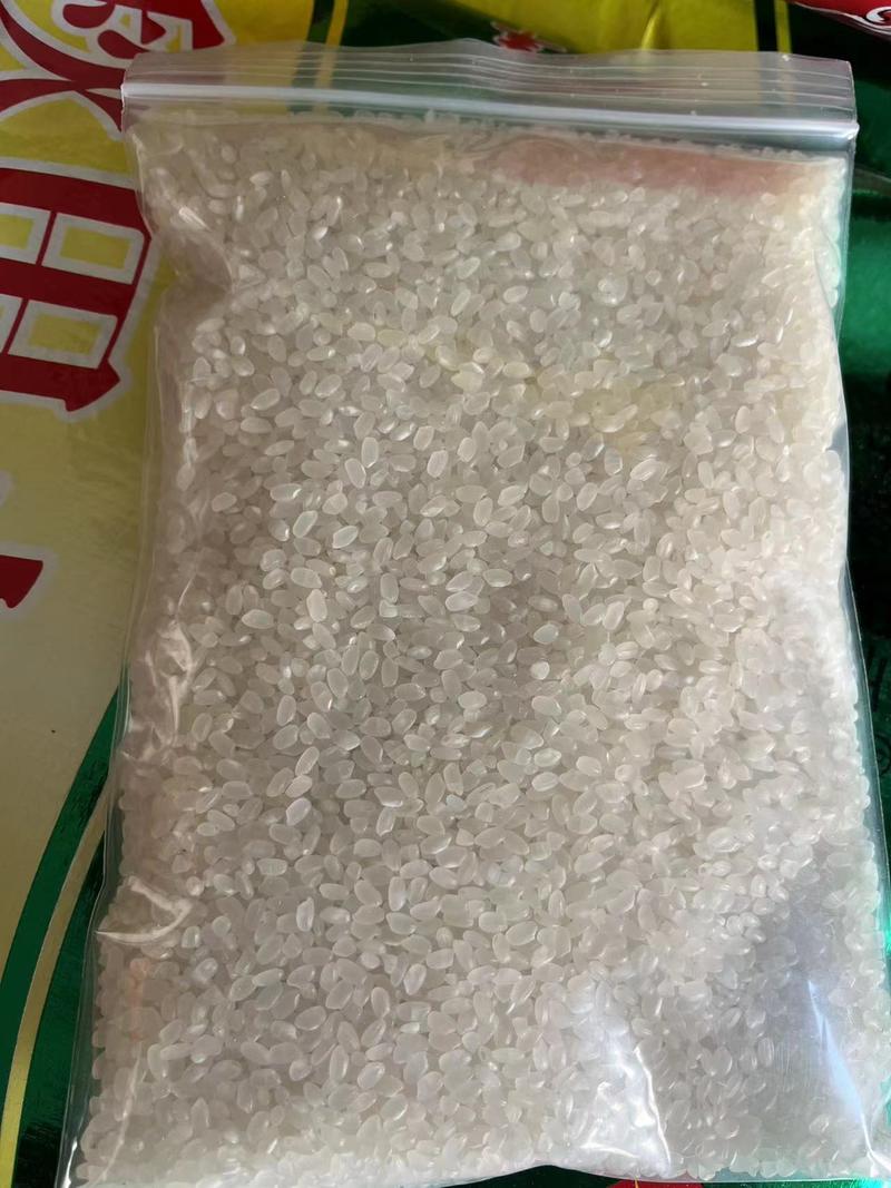 江苏连云港精品圆粒珍珠米厂家直供，质量保证，货源充足！