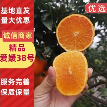 【热卖】爱媛38号皮薄肉多清甜多汁细嫩化渣增加维生素C