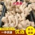 沙土地大黄姜、，品种齐全