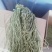 云南特产，精品贡菜干保质保量要放到保鲜时才可以