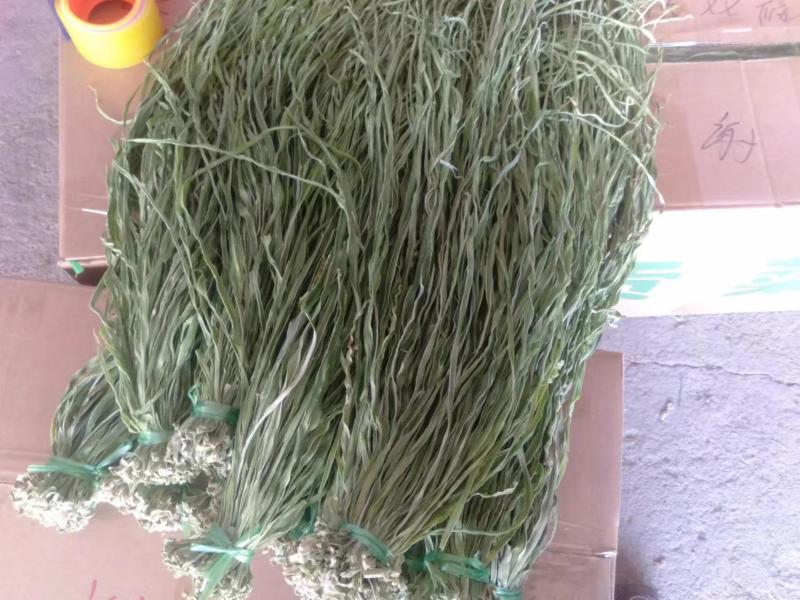 云南特产，精品贡菜干保质保量要放到保鲜时才可以