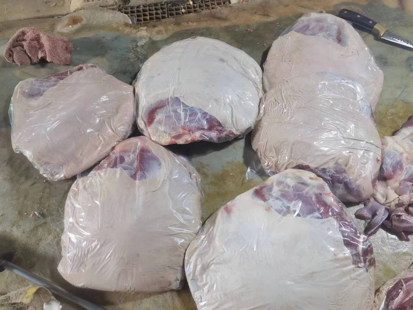 羊驼毛制品与新鲜羊肉样品展示台