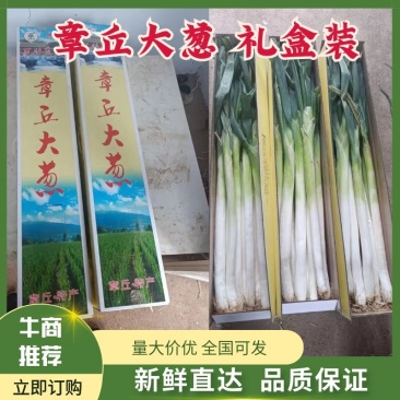 山东章丘大葱礼盒装，产地一手货源，欢迎广大客商咨询采购