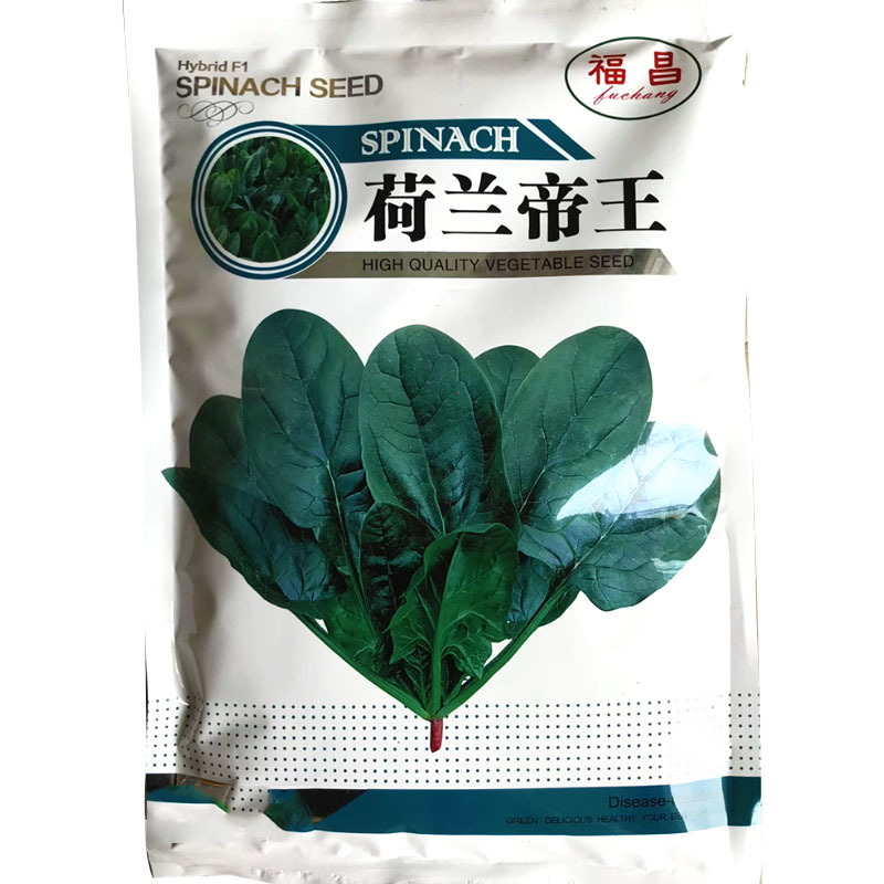 荷兰帝王菠菜种子高产耐寒春秋圆大叶菠菜种子红根杂交抗霜霉
